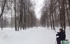 В городские парки вернут скамейки, которые убирают на зиму