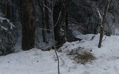 Жители Слободского района перепутали труп