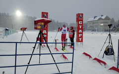 В Кировскую область приедут олимпийские чемпионы по лыжным гонкам