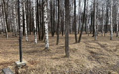 В апреле в Кирове пройдут два общегородских субботника