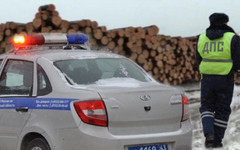 В Кировской области за две недели чёрные лесорубы «срубили» более 50 миллионов рублей