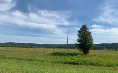 В Кировской области летом 2025 года отдохнули 48,5 тысячи детей