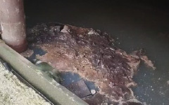 Затопленный дом в Нововятске: канализационная труба лопнула снова