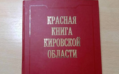 Красную книгу Кировской области переиздадут в 2026 году