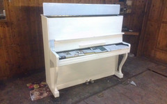 В ротонде Александровского сада появится пианино