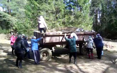 В Среднеивкино женщины впряглись в тракторную телегу (видео)