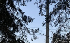 В Кирове сделали освещение к школе и спорткомплексу после жалоб