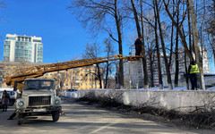 Рядом с Театральной площадью начали обрезать деревья