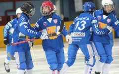 Хоккеисты "Родины-2001" продолжают путь к медалям Первенства России