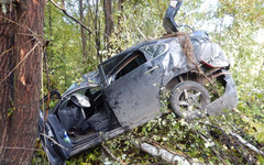 Кировчанин погиб, влетев на «Ниссане» в дерево