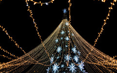 Диетолог советует добавлять орехи в новогодние блюда для здоровья