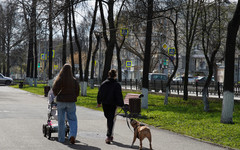 В Кировской области резко вырос спрос на страховых агентов — их ищут на 70% чаще