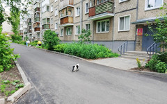 В Кирове приняли очередные дворы, благоустроенные по программе местных инициатив