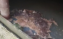 Управляющая компания оштрафована за затопление канализации в нововятском доме