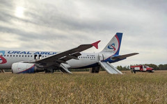Опубликованы фотографии с места экстренной посадки самолета в Новосибирской области