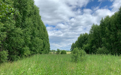 В Яранске построят станцию сортировки мусора мощностью 20 тысяч тонн