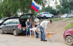 Итоги дня 15 сентября: в пригороде установят освещение, а «кировский пенёк» для голосования назвали фейком