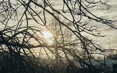 В Кировской области ночью ударили морозы до -35 градусов