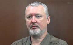 Стрелкову отказали в смягчении наказания