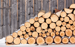 Власти пообещали сдержать цены на дрова для кировчан