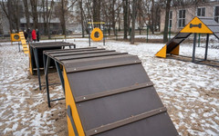 За филармонией открыли площадку для выгула собак