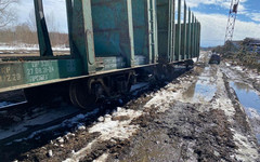 В Кировской области сошли с рельсов два грузовых вагона. Пострадавших нет