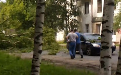 В Коминтерне упавший тополь перегородил часть дороги