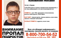 Пропавший в Кирове 14-летний мальчик найден
