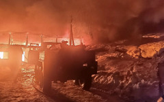 Спасатели вывели 180 коров из горящей фермы под Кировом