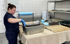 В Нижнеивкинском центре реабилитации модернизировали водогрязелечебницу