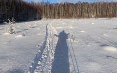 В Кирове хотят создать новую лыжную базу