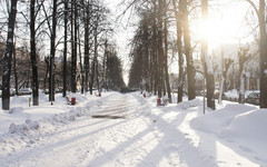 Какую погоду ждать в Кирове с 29 января по 2 февраля?