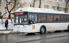 Кировских перевозчиков, нарушивших график поездок автобусов в морозы, оштрафуют