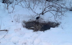 В Кировской области обнаружили тело пропавшего 3 февраля рыбака