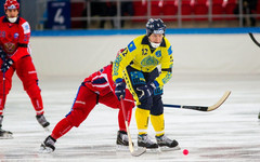 Денис Слаутин пропустит чемпионат мира по хоккею с мячом