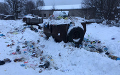 «Куприт» объяснил мусорный коллапс в посёлке Затон