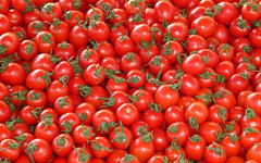В Кировской области подешевели помидоры, но заметно подорожали цитрусовые