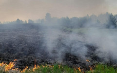 В Кировской области объявили высокую пожарную опасность