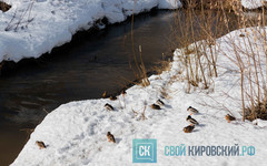 Какая погода будет в Кирове с 6 по 12 апреля?