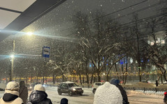 Снег и отмены маршрутов: на что больше всего жаловались жители Кировской области