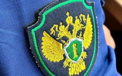 В Кирове осудили наркодилеров