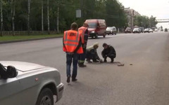 Специалисты взяли пробу асфальта с одной из улиц Кирова