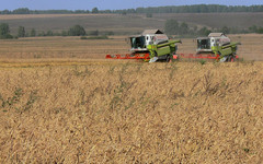 В Кировской области аграрное производство выросло на 30 %