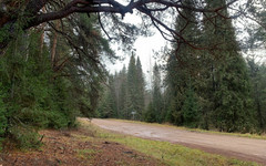 Ученые фиксируют группу пятен на Солнце