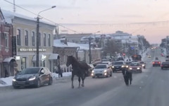По дороге в центре Кирова проскакали одинокие лошади