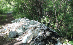 Будущий ленточный парк в Кирове завалили мусором