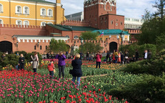 26 июня в Москве объявили выходным днём