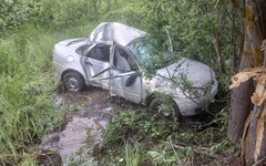 В Слободском районе пьяный водитель врезался в дерево, пострадали двое