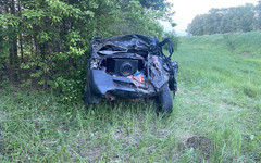 В Малмыжском районе 23-летний автомобилист съехал в кювет и погиб
