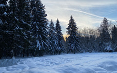 На территории Кировской области ввели режим повышенной готовности из-за холодной погоды